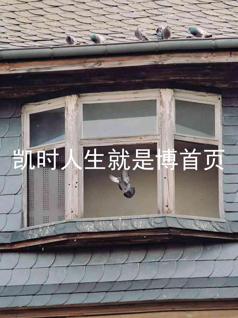 凯时人生就是博首页